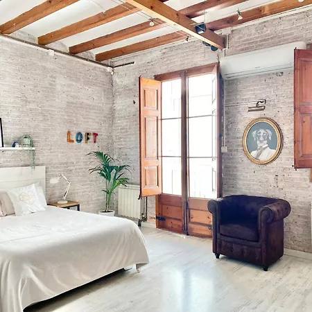 Lovely Loft Near Center Apartment Barcelona