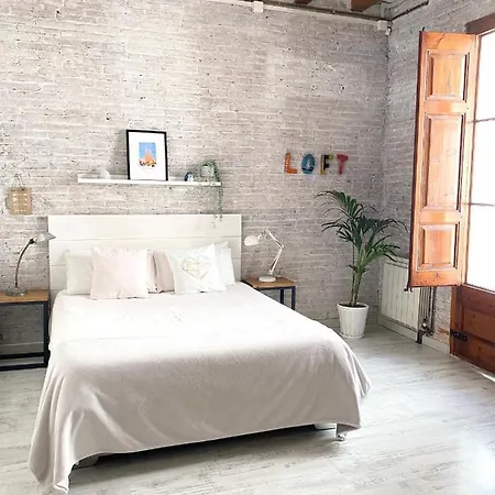 Lovely Loft Near Center *